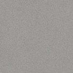 Cold Grey 25086005