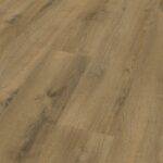 Elbe Oak - D3901