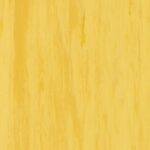 Gold 21003 916