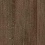 Intense Brown 25099 114