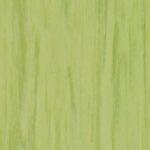 Lime 21003 922