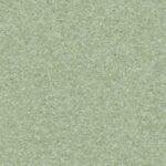 Medium Green 21012 567