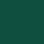 Mint Green - 200161019