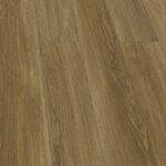 P6003 Clam Oak