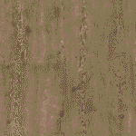 Revealed Oak Slit MS040219