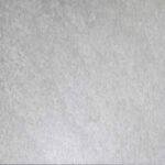 Sandstone Oyster - 48813