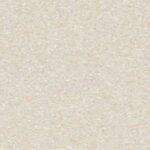 Spirit Medium Cool Beige 21020 970
