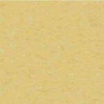 Spirit Yellow 21020 732
