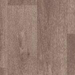 Swan Grey 5208280
