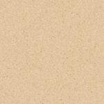 Warm Beige