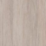 Warm Grey 21003 911