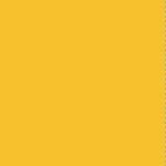 Yellow - 200161006
