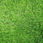 Turf-Play2
