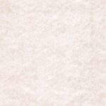 Ermine 03